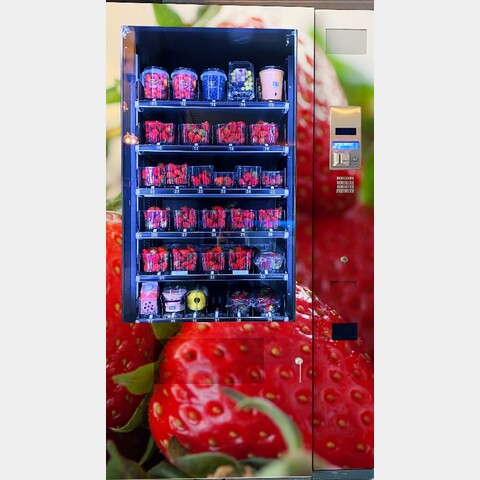 Fruitautomaat Jofemar