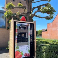 Jofemar fruitautomaat